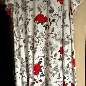 Lularoe Carly Rose Print Dress 2XL